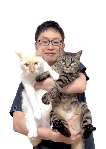 挨拶画像
