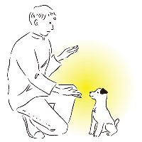 icon1